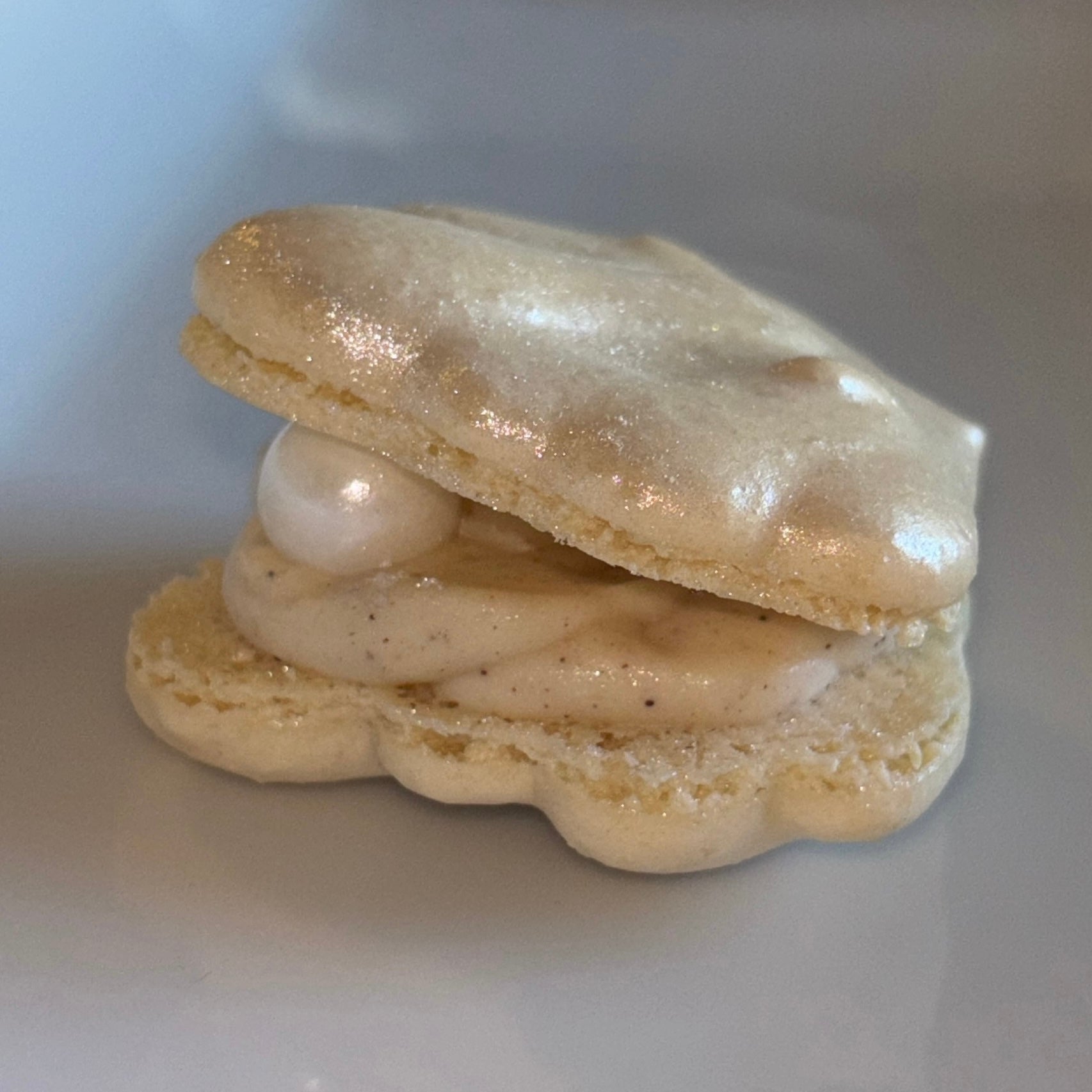 Seashell Macarons Dozen